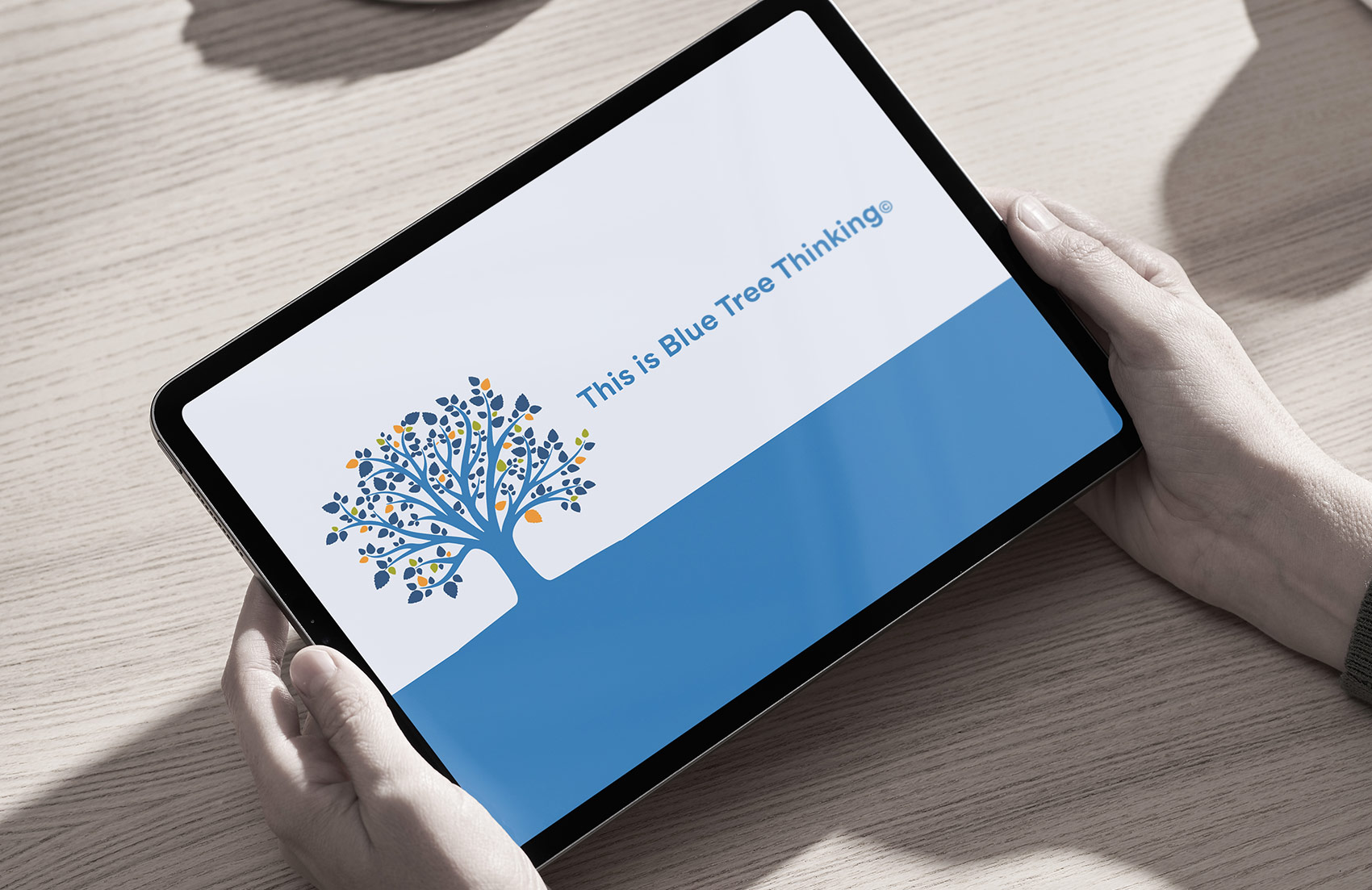 Blue Tree Consulting promotional film