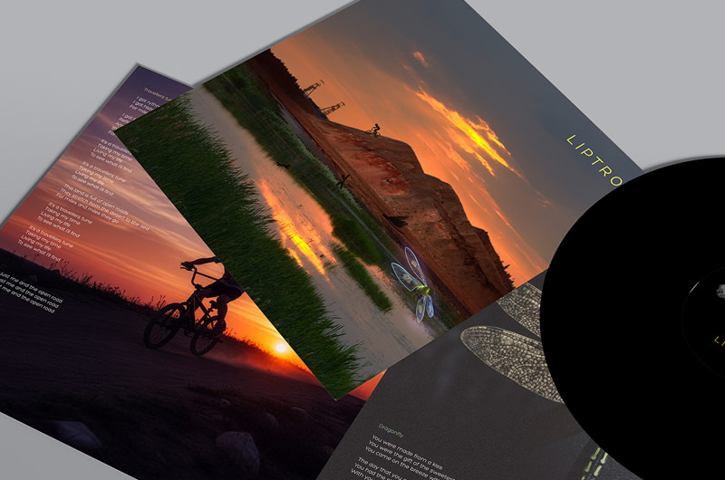 Liptrot, Travellers Tunes, album artwork